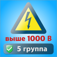 Электробезопасность тесты 5 гр для iOS