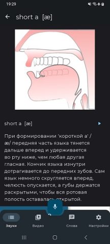 English Sounds Pronunciation для Android — скриншот 2