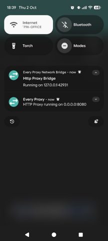 Every Proxy для Android — скриншот 5