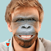 Face Swap для Android