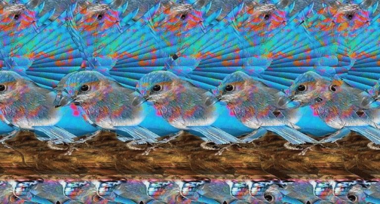 Галерея стереограмм для Android — скриншот 5