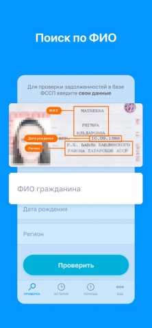 ГосОплата — ГИБДД, ФССП, ФНС для iOS — скриншот 3