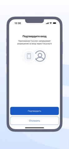 Госключ для iOS — скриншот 3