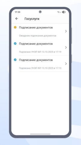 Госключ — скриншот 5