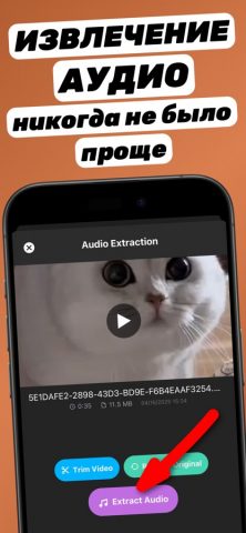 Извлечь аудио из видео⁺ для iOS — скриншот 2