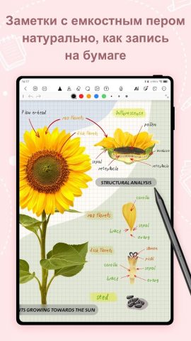 Kilonotes:Заметки и чтение PDF для Android — скриншот 5