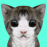 Кошка Симулятор Онлайн