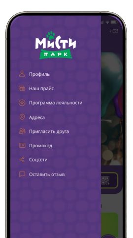 Мисти Парк для Android — скриншот 3