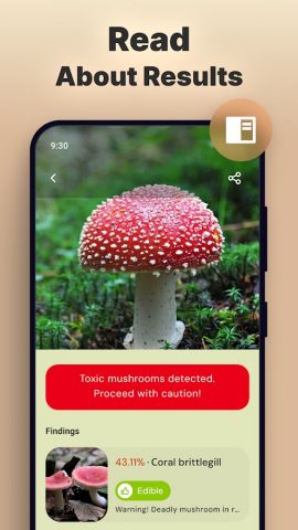 Mushroomizer для Android — скриншот 3