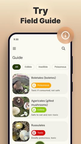 Mushroomizer для Android — скриншот 5