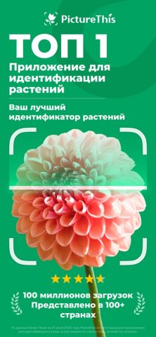 PictureThis: Цветы и деревья для iOS — скриншот 1