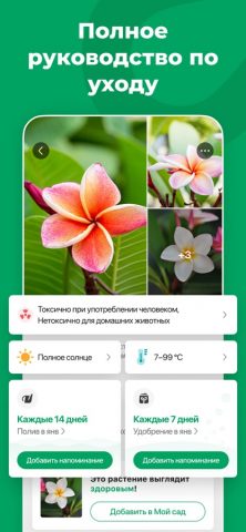 PictureThis: Цветы и деревья для iOS — скриншот 4
