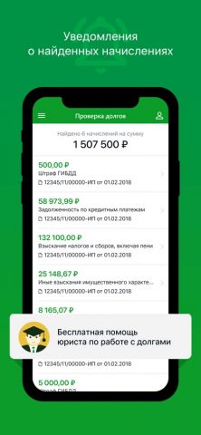 Проверка ограничений ФССП для iOS — скриншот 2