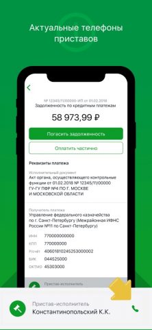 Проверка ограничений ФССП для iOS — скриншот 3
