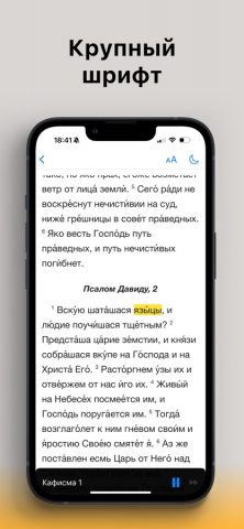 Псалтирь: Слушать и читать! для iOS — скриншот 3