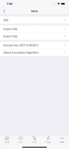 SQLite — Editor & Browser для iOS — скриншот 4