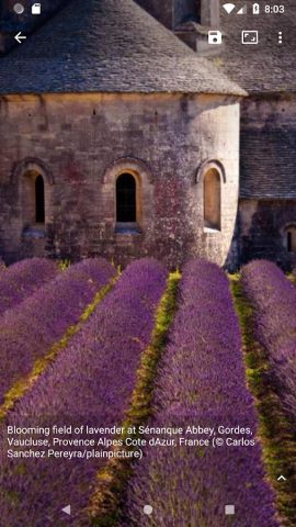 Starth Bing Wallpaper для Android — скриншот 3