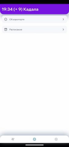 Табло аэропорта Чита для Android — скриншот 3