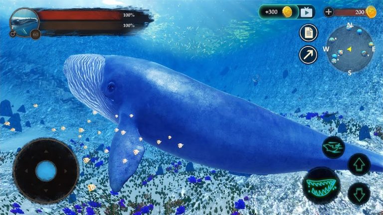 The Blue Whale для Android — скриншот 2