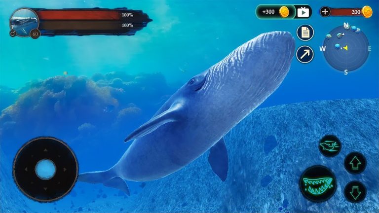 The Blue Whale для Android — скриншот 3