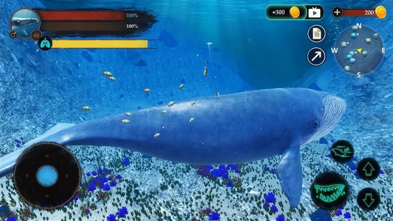 The Blue Whale для Android — скриншот 4