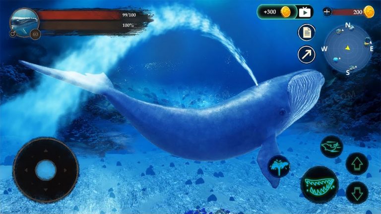 The Blue Whale для Android — скриншот 5