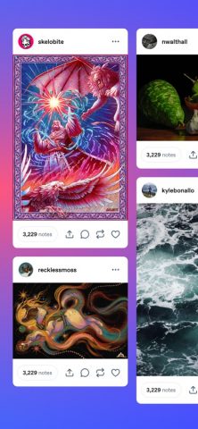 Tumblr — культура, арт, хаос для iOS — скриншот 4