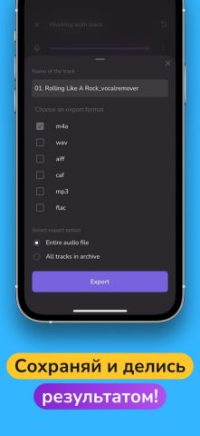 Убрать голос из песни, музыку для iOS — скриншот 5