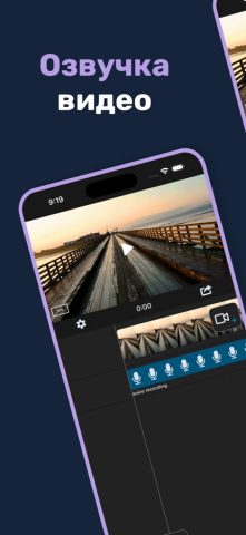 Voice Over Video для iOS — скриншот 1