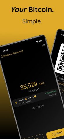 Wallet of Satoshi для Android — скриншот 1