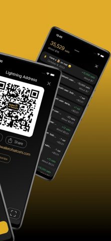 Wallet of Satoshi для Android — скриншот 2
