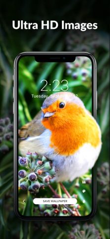 Wallpaper Tree — HD Wallpapers для iOS — скриншот 5