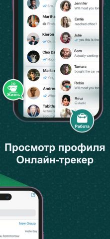 Whats Tracker: Веб сканер для iOS — скриншот 2
