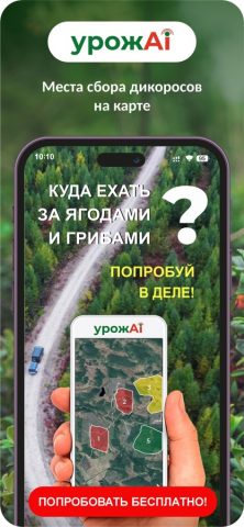YAGODY.RU для iOS — скриншот 1