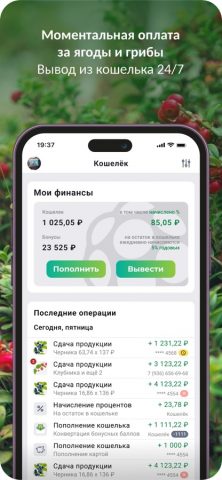 YAGODY.RU для iOS — скриншот 3