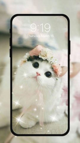 живые обои с котами HD — скриншот 2