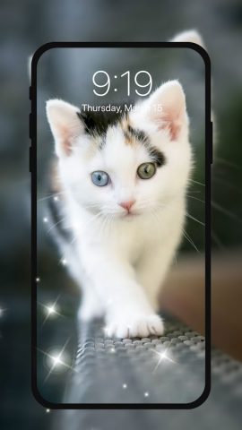 живые обои с котами HD — скриншот 5