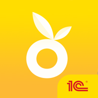 1С:Садовод. Руководство СНТ для iOS