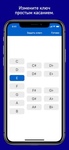 Аккорды GtrLib для iOS — скриншот 4
