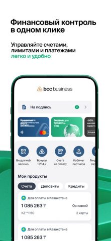 BCC Business 2.0 для iOS — скриншот 3
