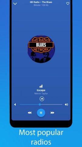 Blues Music для Android — скриншот 5