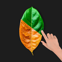 Change Color in Photos для Android