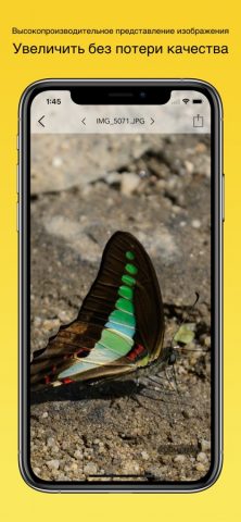 EXIF Viewer LITE by Fluntro для iOS — скриншот 4