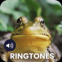 Frog Sounds Ringtones для iOS