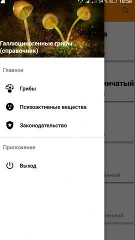Галлюциногенные грибы для Android — скриншот 3