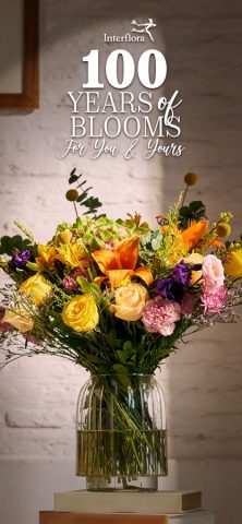 Interflora India для iOS — скриншот 1