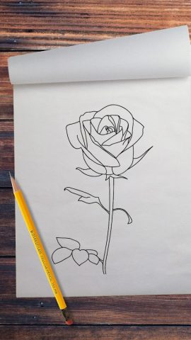 Как Нарисовать Розу для Android — скриншот 1