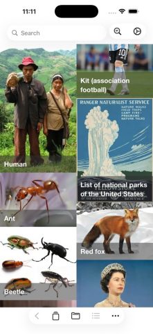 Kiwix для iOS — скриншот 1