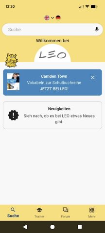 LEO Словарь — скриншот 1