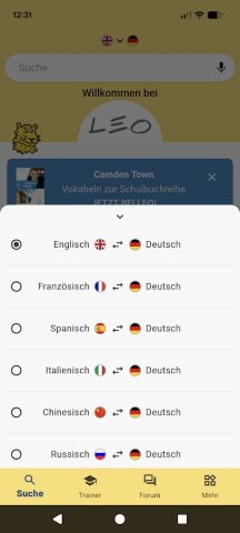 LEO Словарь — скриншот 2